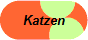 Katzen